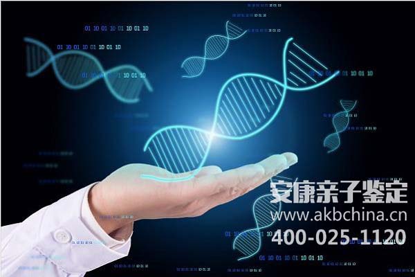 合肥郑州亲子鉴定做个人和DNA的费用一般多少钱 