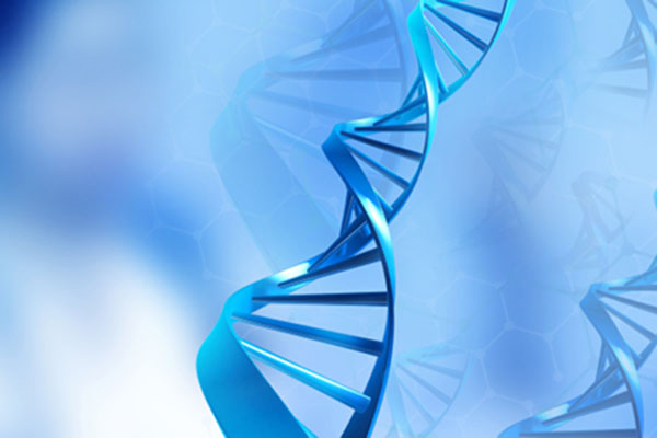 合肥衡水DNA检测费用解析：科技解锁生命密码 